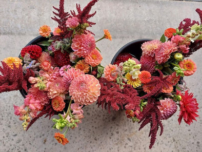 4 Week - Fall Bouquet Subscription 2025